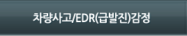 급발진(CDR)감정